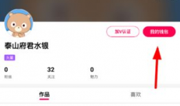 91y直播魅力值提现,轻松实现财富增长